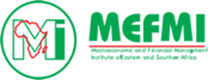 MEFMI Information System logo